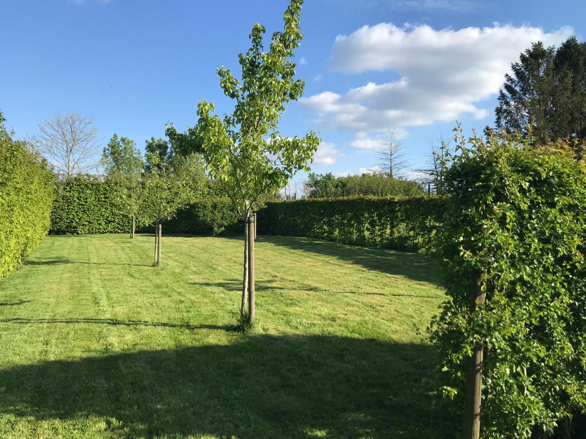The Escape Wood Holiday home